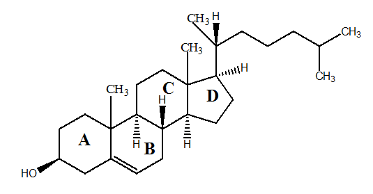 letrozole steroide : Restez simple