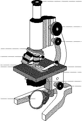 Illustration Couleur D'un Microscope Monoculaire Dessin En Ligne D